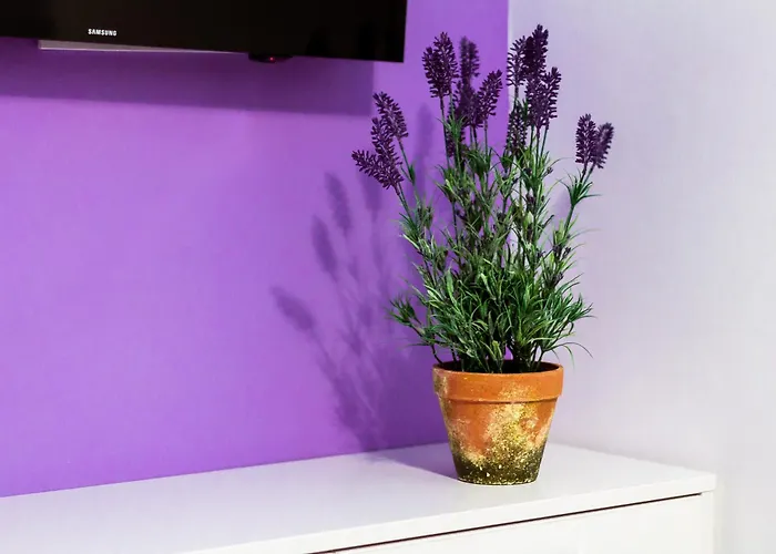 Szálloda On Deribasovskaya