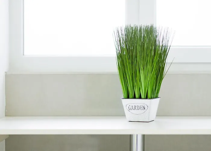 On Deribasovskaya Odessza